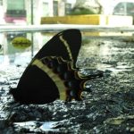 LA HIGIENE PERSONAL COMO MEDIDA DE PREVENCIÓN ANTE LLUVIAS