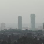 ¿SABÍAS QUE PASA DESPUÉS DE UN INCENDIO FORESTAL?